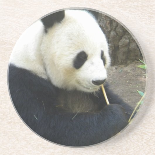 Panda Coater Getränkeuntersetzer (Vorne)
