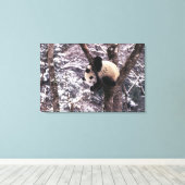 Panda cub, der auf schneebedeckten Baum spielt, Leinwanddruck (Insitu (Holzboden))