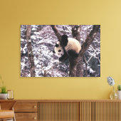 Panda cub, der auf schneebedeckten Baum spielt, Leinwanddruck (Insitu (Wohnzimmer))