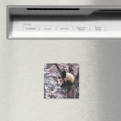 Panda cub, der auf schneebedeckten Baum spielt, Magnet (In Situ (Geschirrspüler))