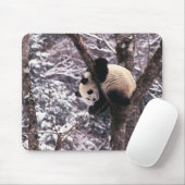 Panda cub, der auf schneebedeckten Baum spielt, Mousepad (Mit Mouse)