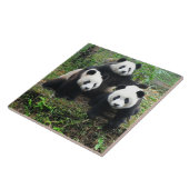 PANDA CUB FLIESE (Seite)