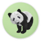 Panda Cub Green Keramikknauf (Vorderseite)