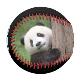 Panda cub Malerei Baseball