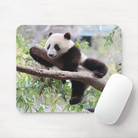 Panda CUB Mousepad (Mit Mouse)