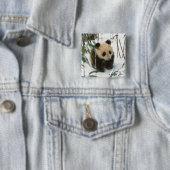 Panda cube on snow, Wolong, Sichuan, China Button (Beispiel)