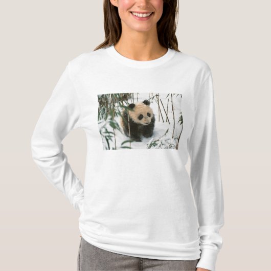 Panda cube on snow, Wolong, Sichuan, China T-Shirt (Vorderseite)