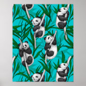 Panda Cubs auf Türkis Poster (Vorne)