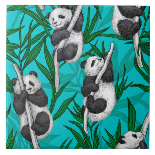 Panda cubs on Turquoise Fliese
