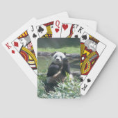 Panda Deck auf Spielkarten (Rückseite)