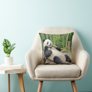 Panda, der an einem Bambusstängel kaut Kissen