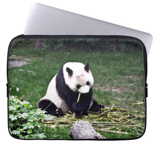 Panda, der Bambus isst Laptopschutzhülle (Vorderseite)