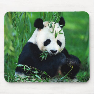 Panda, der Blätter isst Mousepad