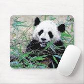 Panda, der Blätter isst Mousepad (Mit Mouse)