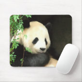 Panda, der Mousepad malt (Mit Mouse)
