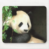 Panda, der Mousepad malt (Vorne)