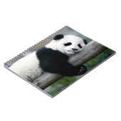 Panda, der Posten umarmt Notizblock (Linke Seite)