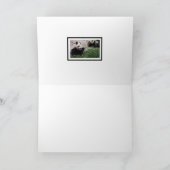 Panda Dream Blank Card Karte (Innenseite)