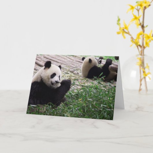 Panda Dream Blank Card Karte (Gelbe Blume)