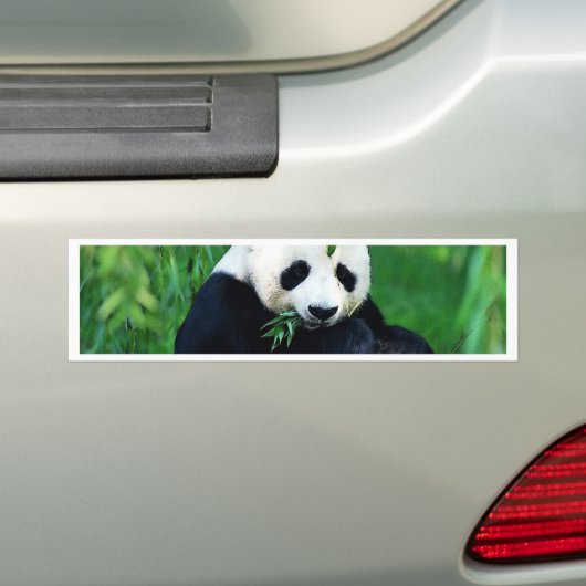 Panda Eating Blätter Autoaufkleber (Auf Auto)