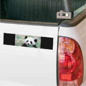 Panda Eating Blätter Autoaufkleber (Auf Lkw)