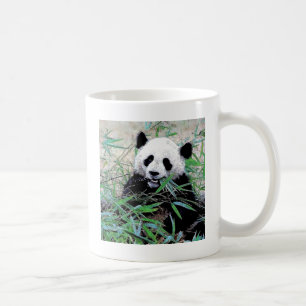 Panda Eating Blätter Kaffeetasse