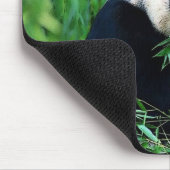 Panda Eating Blätter Mousepad (Ecke)