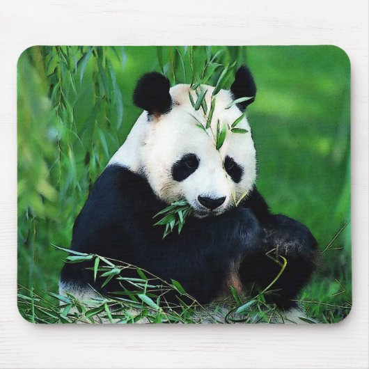 Panda Eating Blätter Mousepad (Vorne)