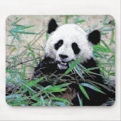 Panda Eating Blätter Mousepad (Vorne)