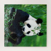 Panda Eating Blätter Puzzle (Horizontal)