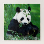 Panda Eating Blätter Puzzle (Vertikal)
