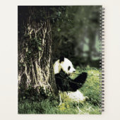 Panda Eats Bamboo Planer (Rückseite)