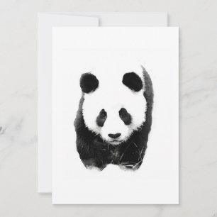 Panda-Einladungen Einladung