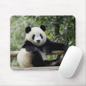 Panda-Erholungszeit-Mauspad Mousepad (Mit Mouse)