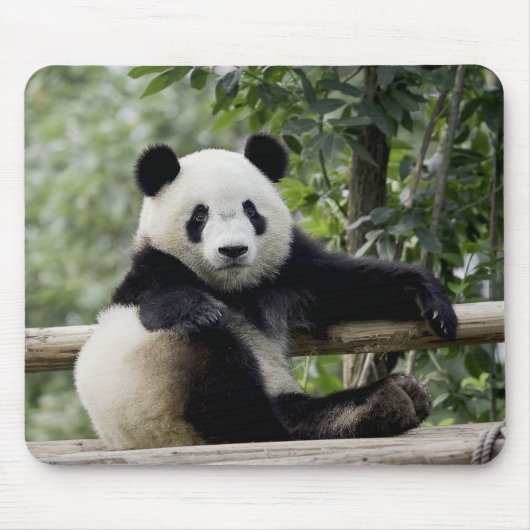 Panda-Erholungszeit-Mauspad Mousepad (Vorne)