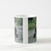 Panda-Essen Kaffeetasse (Mittel)