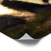 Panda et femme poster (Ecke)