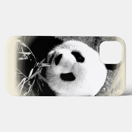 Panda Eyes Case-Mate iPhone Hülle (Rückseite (Horizontal))