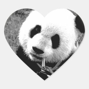 Panda Eyes Herz-Aufkleber