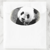 Panda Eyes Ovaler Aufkleber (Tasche)