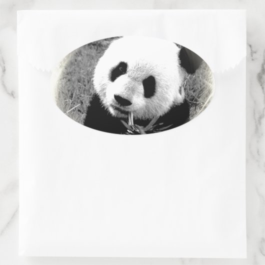 Panda Eyes Ovaler Aufkleber (Tasche)