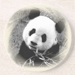 Panda Eyes Untersetzer