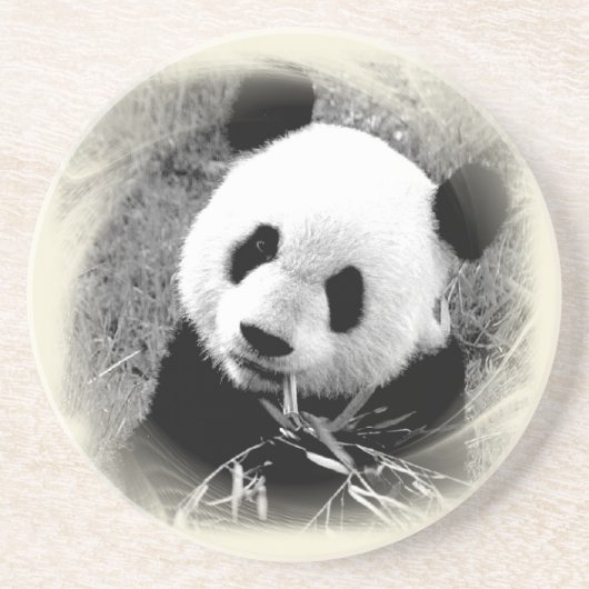 Panda Eyes Untersetzer (Vorne)