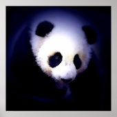 Panda Face Poster - Panda Posters Prints (Vorne)