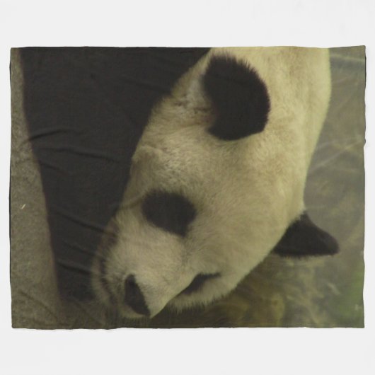 Panda Fleece Throw Blanket (Vorderseite (Horizontal))