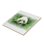 Panda Fliese (Seite)