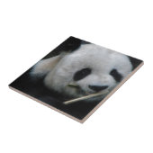 Panda Fliese (Seite)