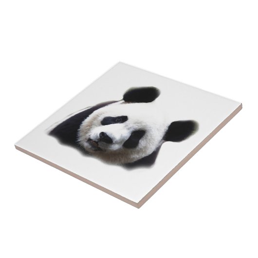 Panda Fliese (Seite)