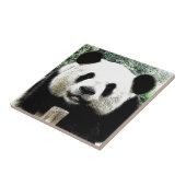 Panda Fliese (Seite)