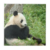 Panda-Fliese Fliese (Vorderseite)